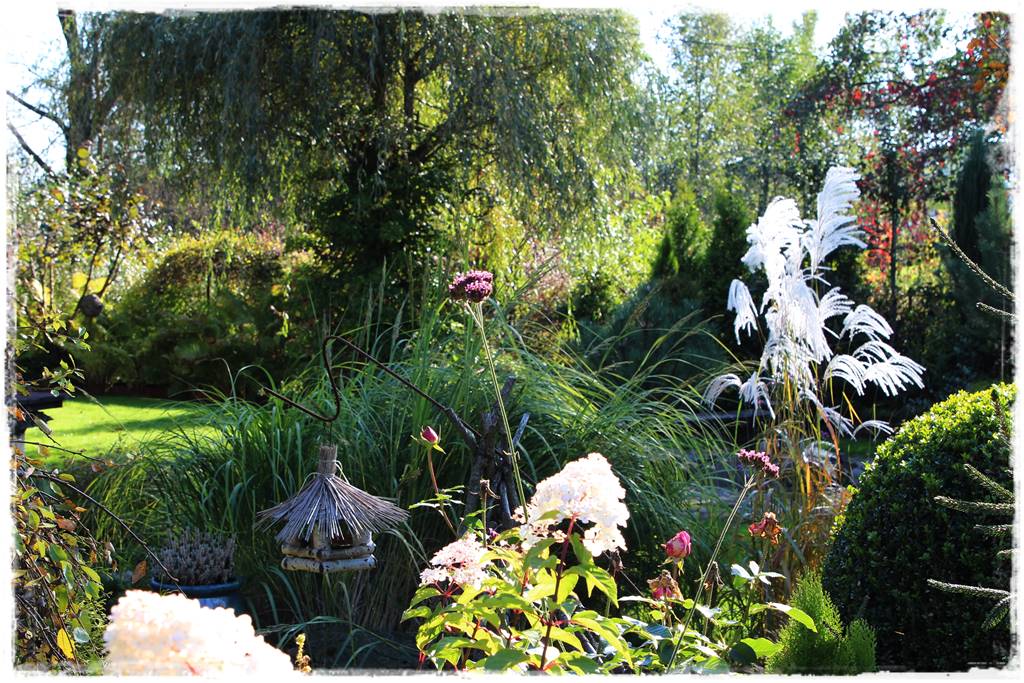 Karmnik w ogrodzie 120