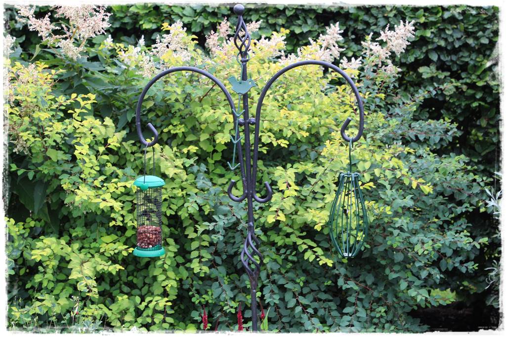 Karmnik w ogrodzie 130