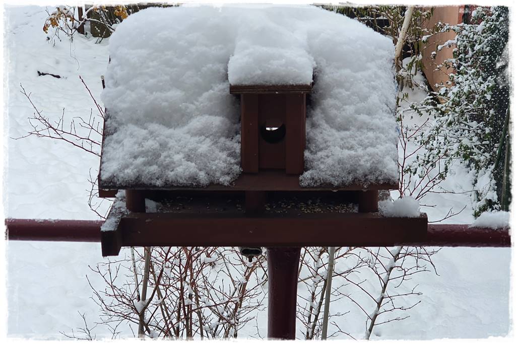 Karmnik w ogrodzie 2 Karmnik w ogrodzie 2