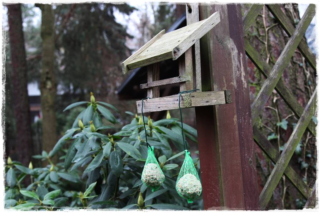 Karmnik w ogrodzie 220a Karmnik w ogrodzie 220a