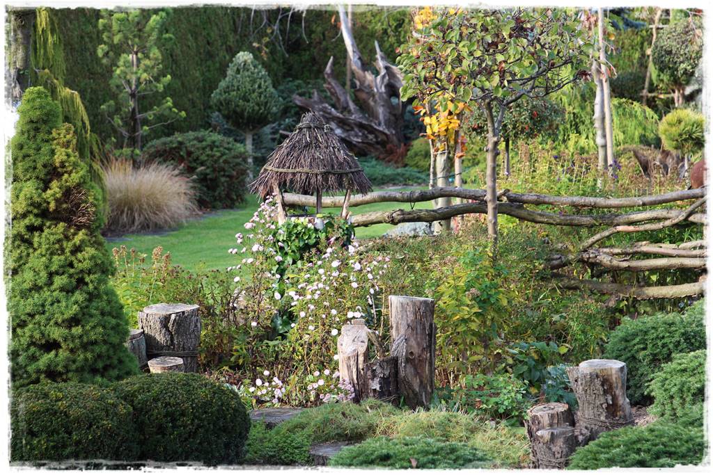 Karmnik w ogrodzie 40 Karmnik w ogrodzie 40