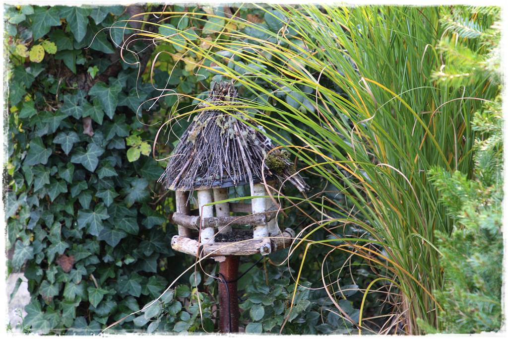 Karmnik w ogrodzie 50 Karmnik w ogrodzie 50