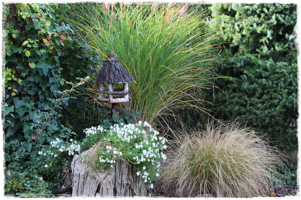 Karmnik w ogrodzie 50b Karmnik w ogrodzie 50b