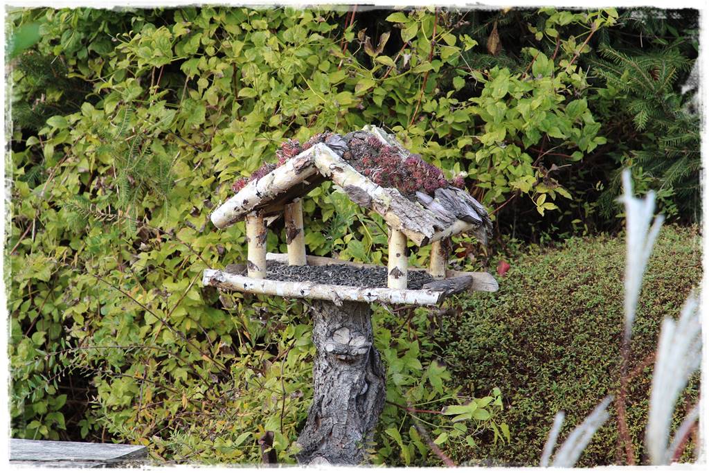 Karmnik w ogrodzie 60 Karmnik w ogrodzie 60