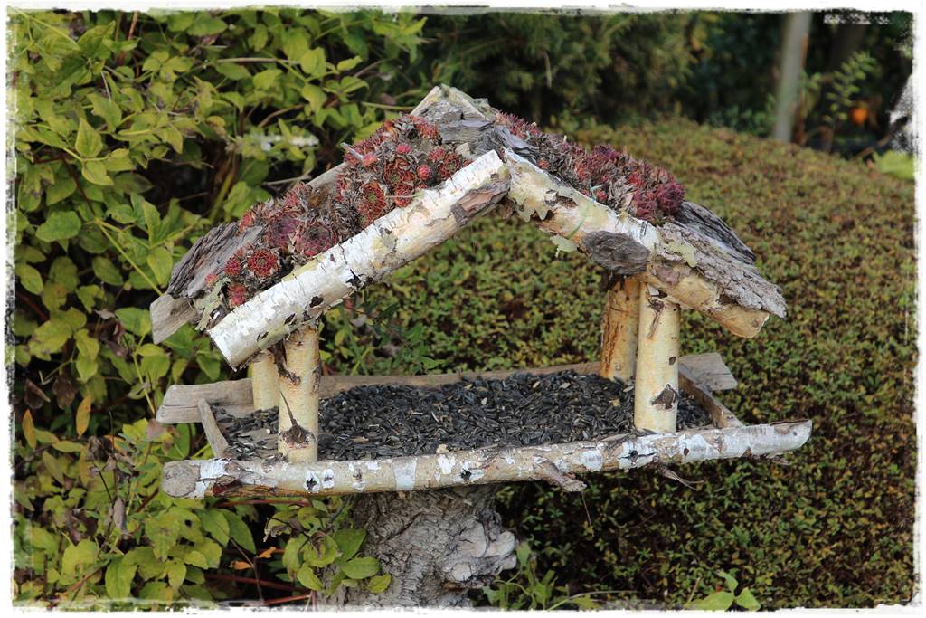 Karmnik w ogrodzie 60d Karmnik w ogrodzie 60d