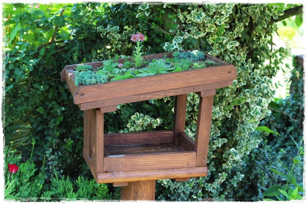 Karmnik w ogrodzie 70