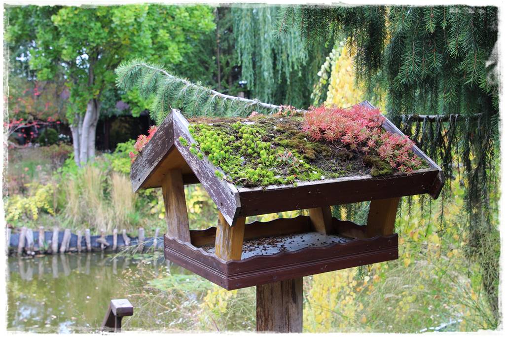 Karmnik w ogrodzie 70b Karmnik w ogrodzie 70b