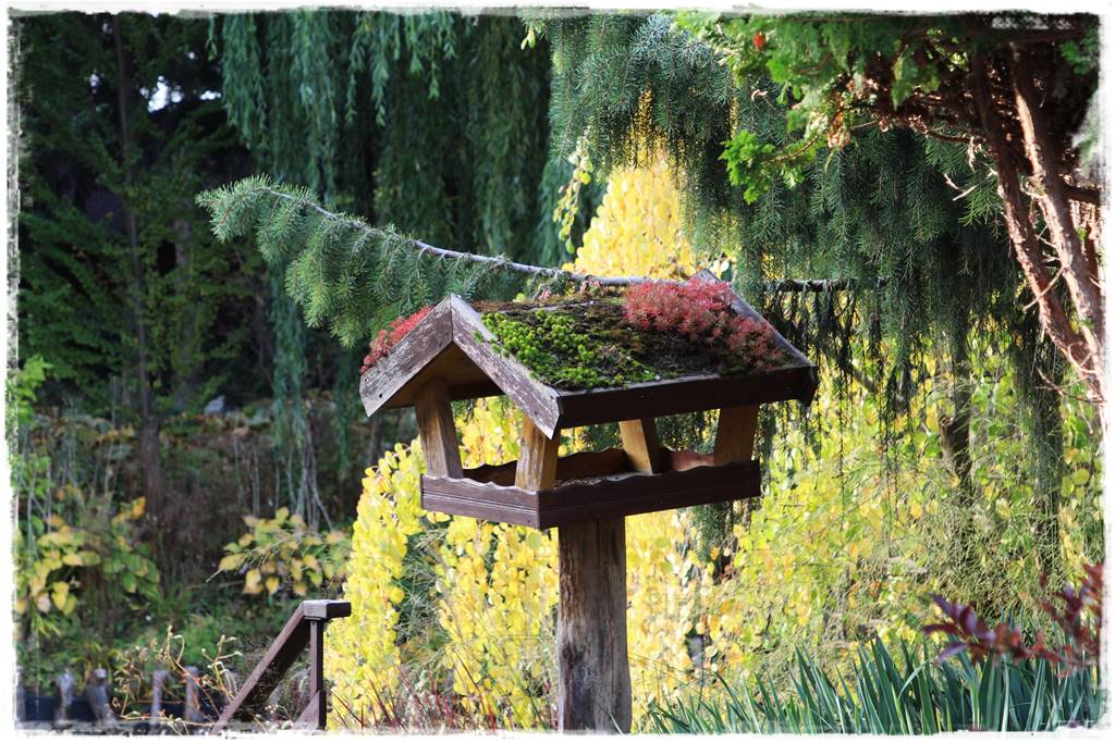 Karmnik w ogrodzie 70c Karmnik w ogrodzie 70c