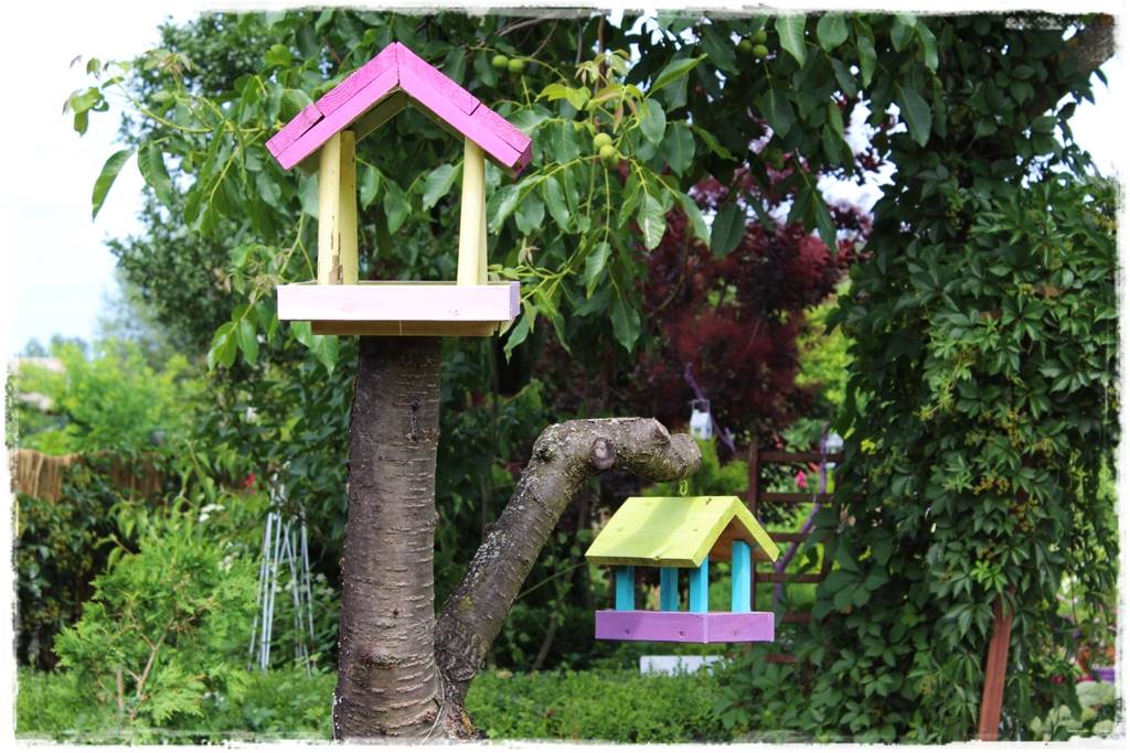 Karmnik w ogrodzie 90