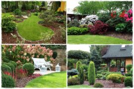 Kora sosnowa aranżacje 1