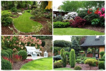 Kora sosnowa aranżacje 1