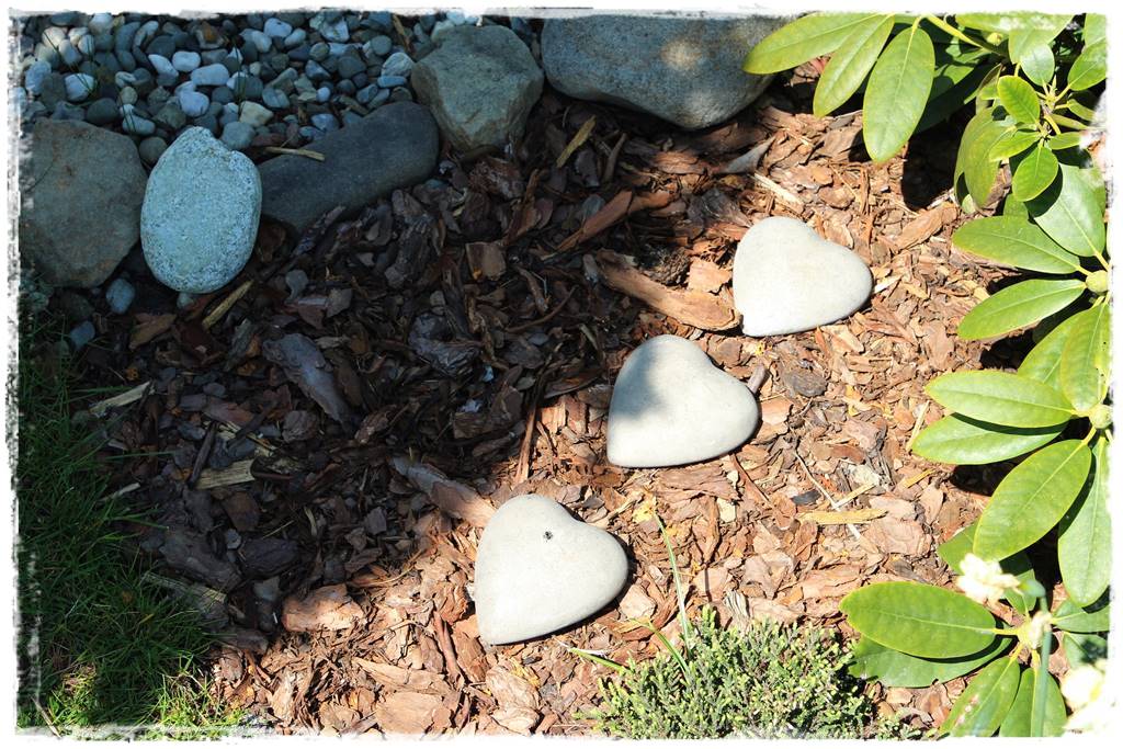 Kora sosnowa aranżacje 100d Kora sosnowa aranżacje 100d