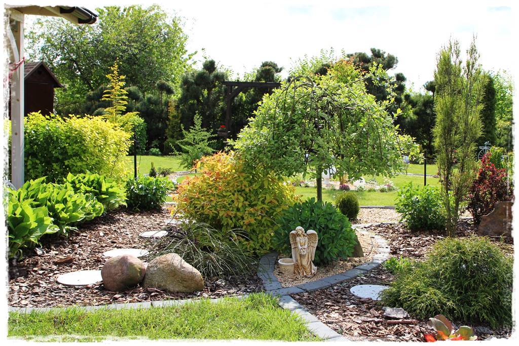 Kora sosnowa aranżacje 100f Kora sosnowa aranżacje 100f