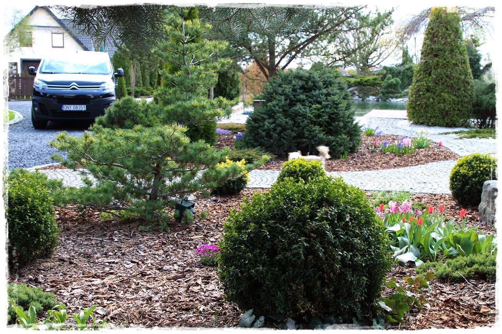 Kora sosnowa aranżacje 100h Kora sosnowa aranżacje 100h