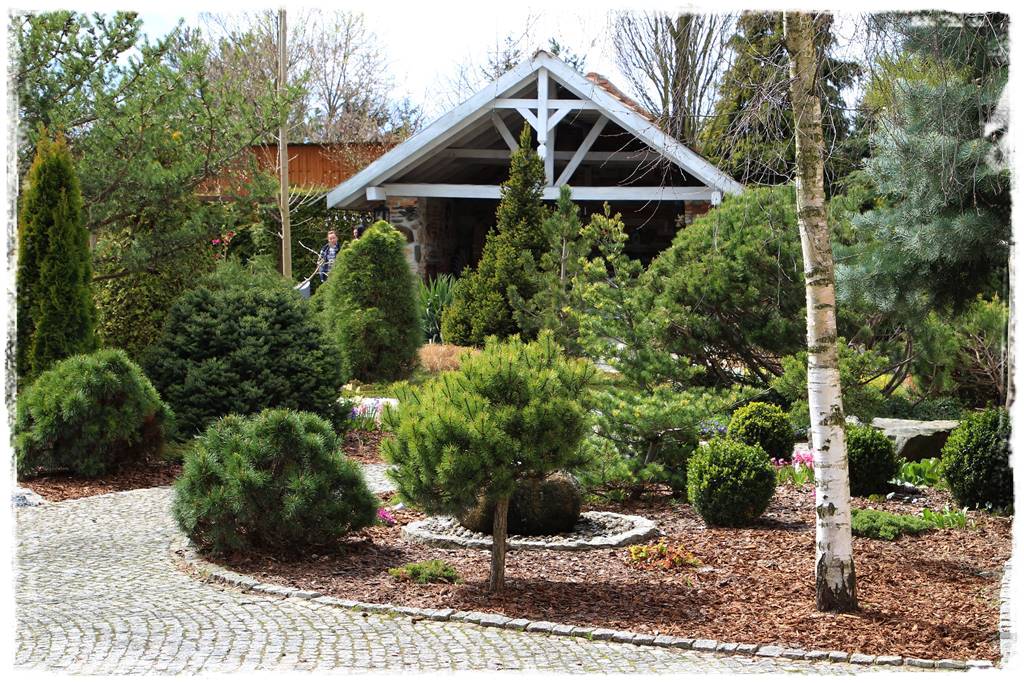 Kora sosnowa aranżacje 13c Kora sosnowa aranżacje 13c