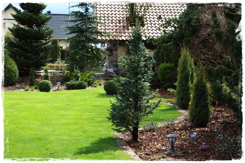 Kora sosnowa aranżacje 13d Kora sosnowa aranżacje 13d