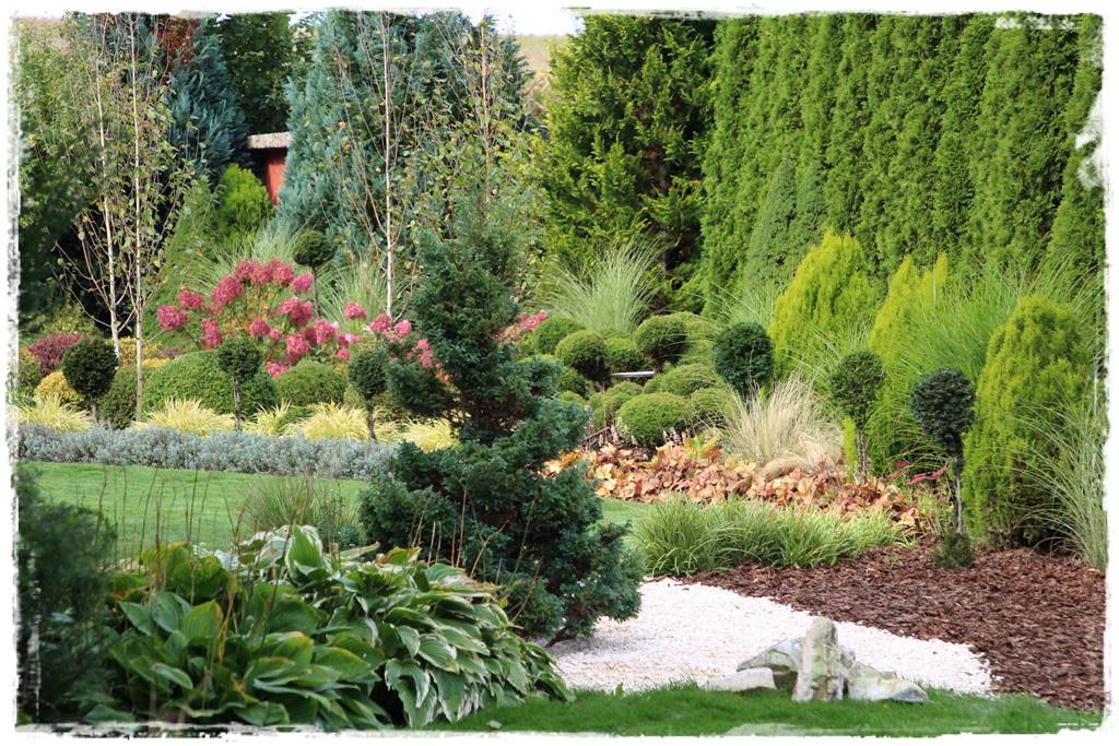 Kora sosnowa aranżacje 2 Kora sosnowa aranżacje 2