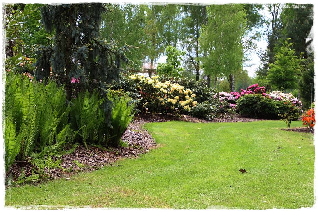 Kora sosnowa aranżacje 20c Kora sosnowa aranżacje 20c