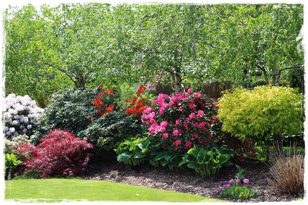 Kora sosnowa aranżacje 20d Kora sosnowa aranżacje 20d