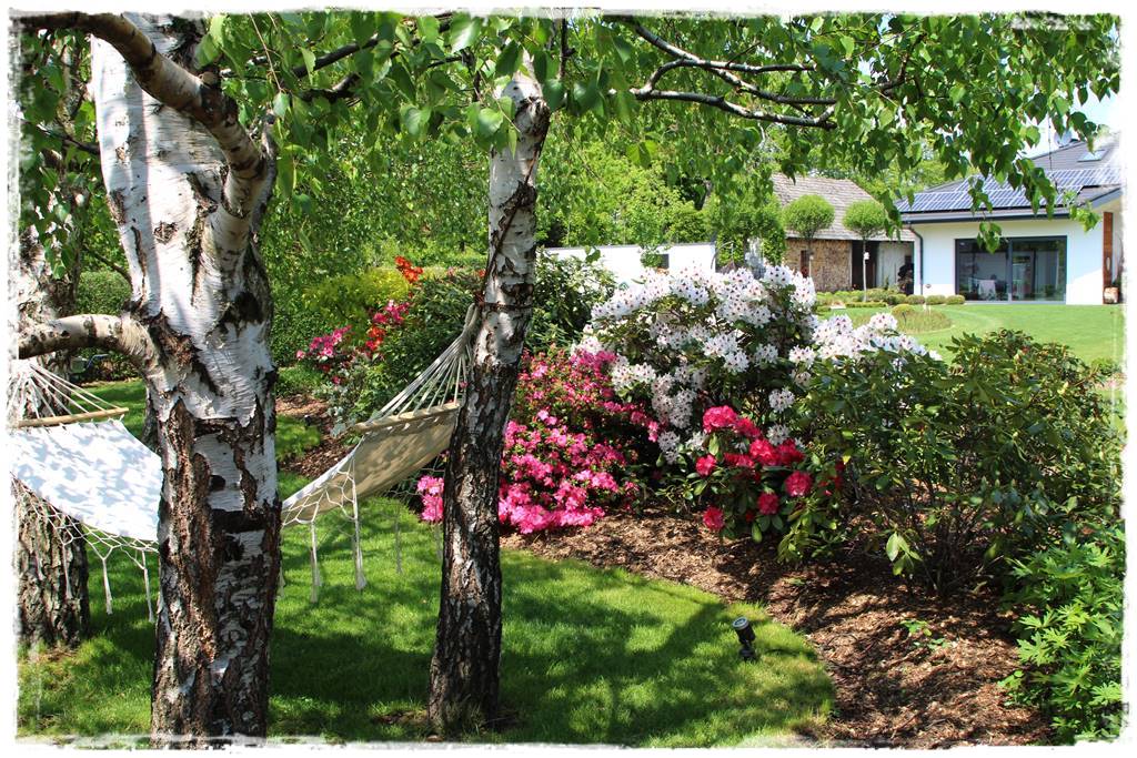 Kora sosnowa aranżacje 20g Kora sosnowa aranżacje 20g