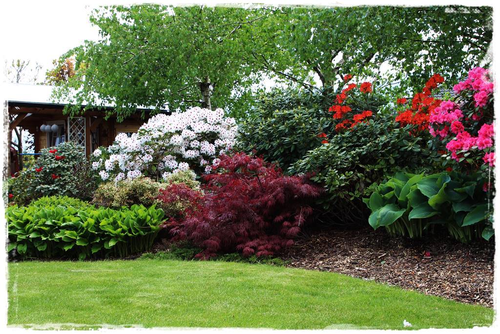 Kora sosnowa aranżacje 20h Kora sosnowa aranżacje 20h