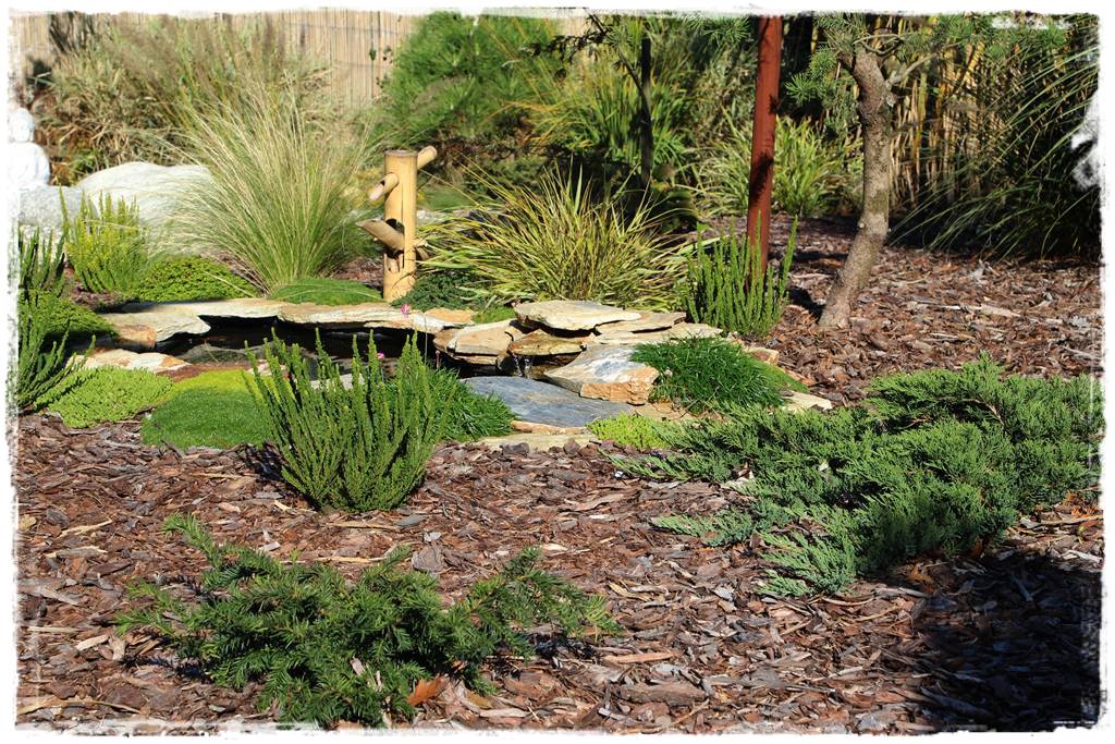 Kora sosnowa aranżacje 30c Kora sosnowa aranżacje 30c