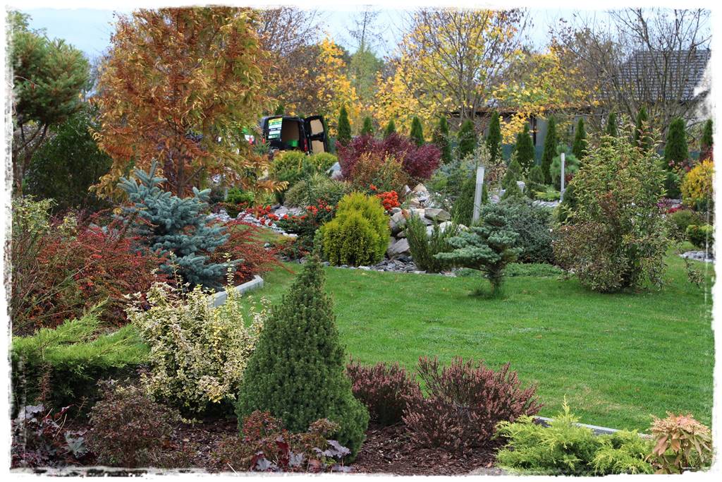 Kora sosnowa aranżacje 30d Kora sosnowa aranżacje 30d