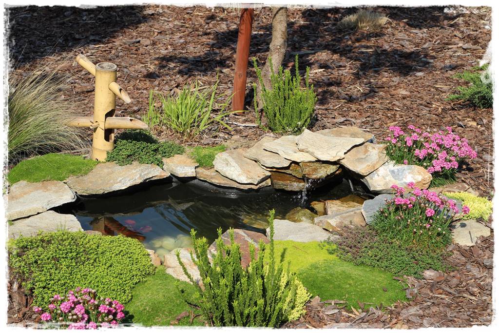 Kora sosnowa aranżacje 30f Kora sosnowa aranżacje 30f