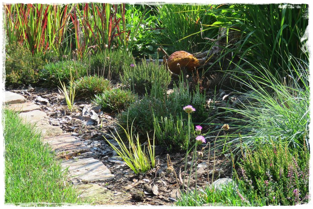 Kora sosnowa aranżacje 30g Kora sosnowa aranżacje 30g