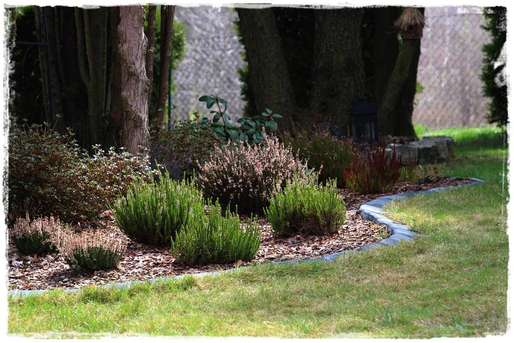 Kora sosnowa aranżacje 30h Kora sosnowa aranżacje 30h