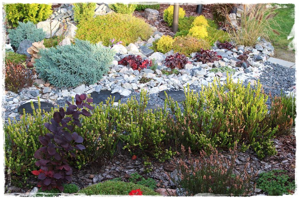 Kora sosnowa aranżacje 30i Kora sosnowa aranżacje 30i