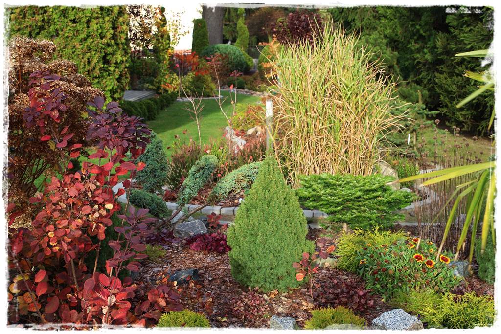 Kora sosnowa aranżacje 4 Kora sosnowa aranżacje 4