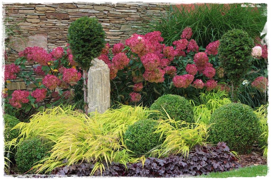 Kora sosnowa aranżacje 40c Kora sosnowa aranżacje 40c