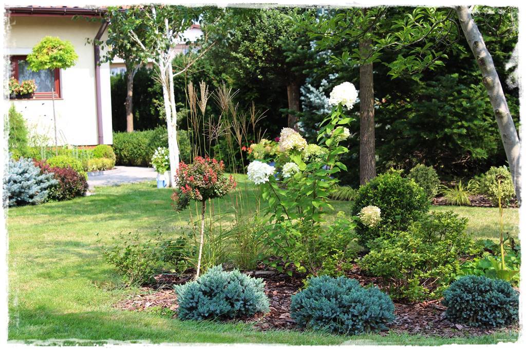 Kora sosnowa aranżacje 40e Kora sosnowa aranżacje 40e