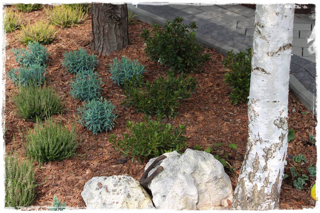 Kora sosnowa aranżacje 5 Kora sosnowa aranżacje 5