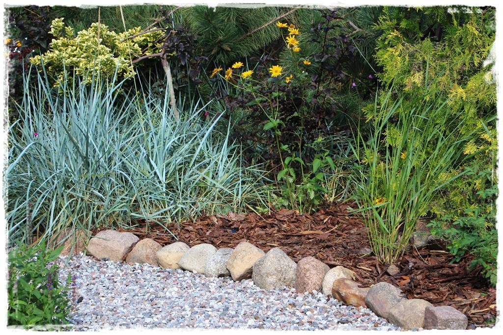 Kora sosnowa aranżacje 50h Kora sosnowa aranżacje 50h