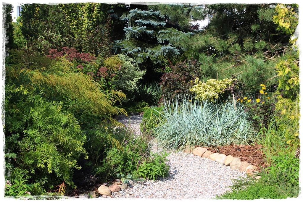 Kora sosnowa aranżacje 50i Kora sosnowa aranżacje 50i