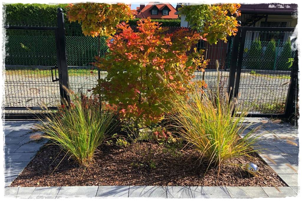 Kora sosnowa aranżacje 50m Kora sosnowa aranżacje 50m