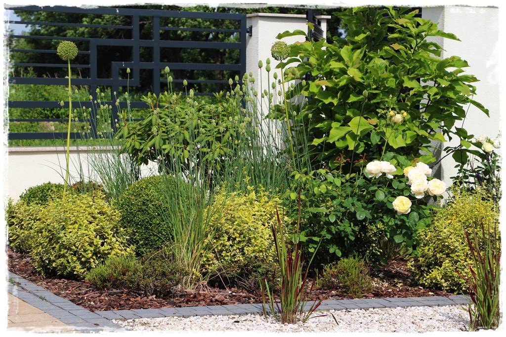 Kora sosnowa aranżacje 60b Kora sosnowa aranżacje 60b