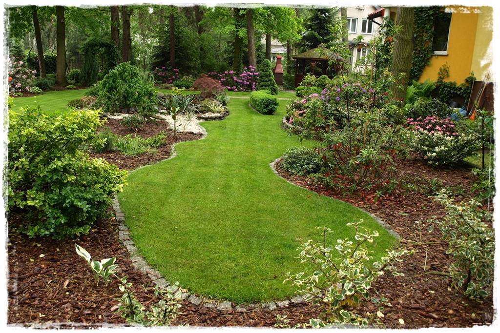 Kora sosnowa aranżacje 7 Kora sosnowa aranżacje 7