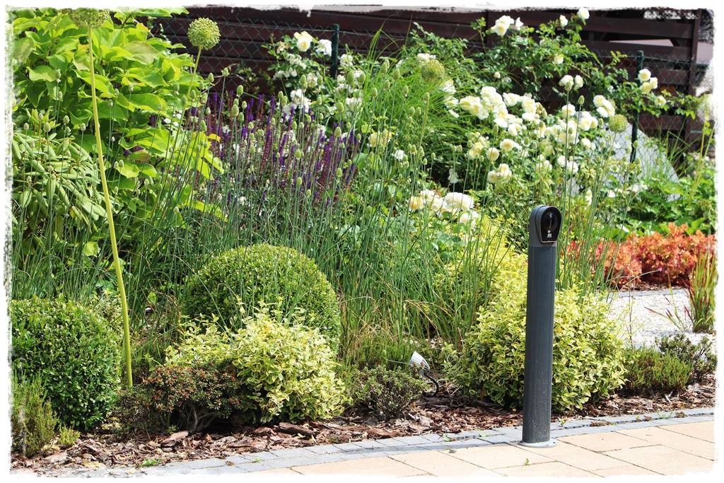 Kora sosnowa aranżacje 80b Kora sosnowa aranżacje 80b