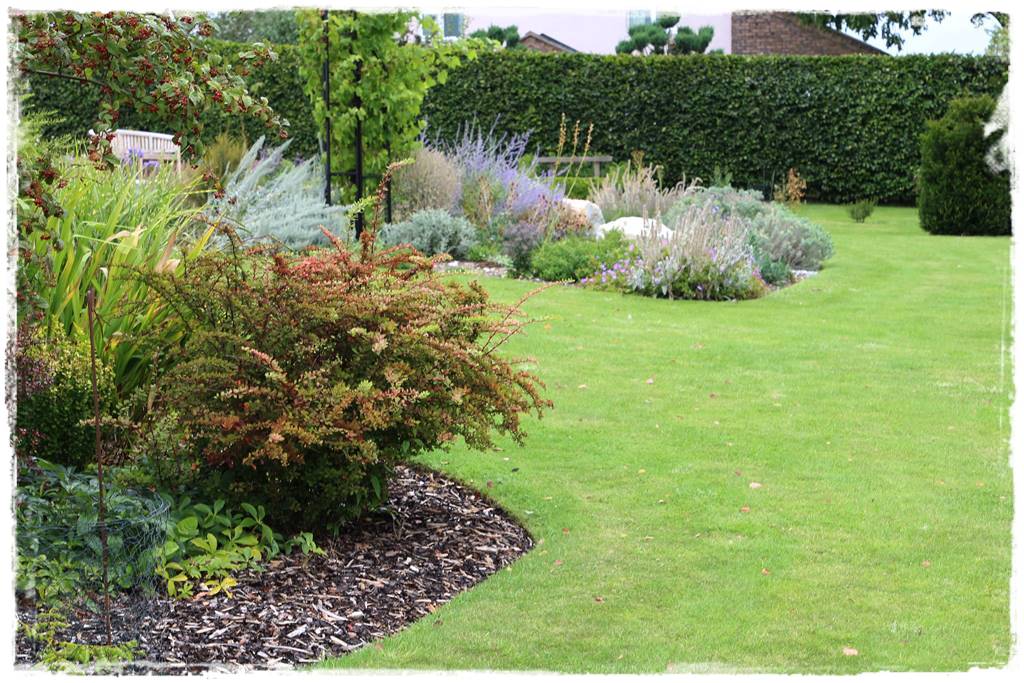 Kora sosnowa aranżacje 80g