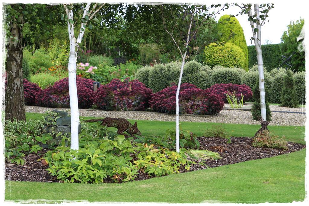 Kora sosnowa aranżacje 90d Kora sosnowa aranżacje 90d