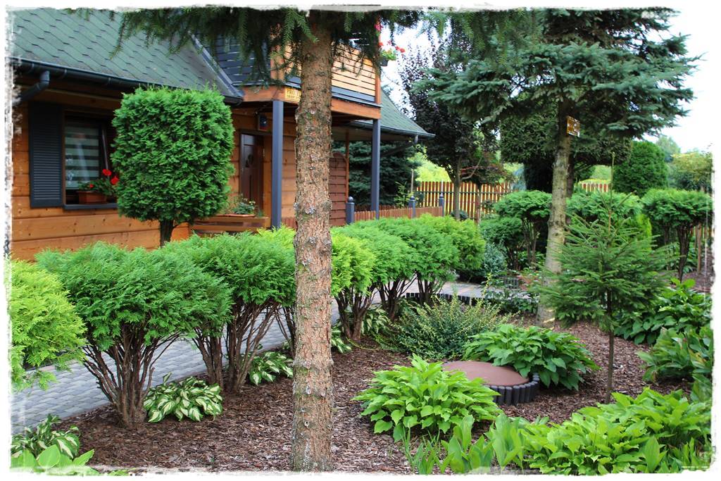 Kora sosnowa aranżacje 90e Kora sosnowa aranżacje 90e