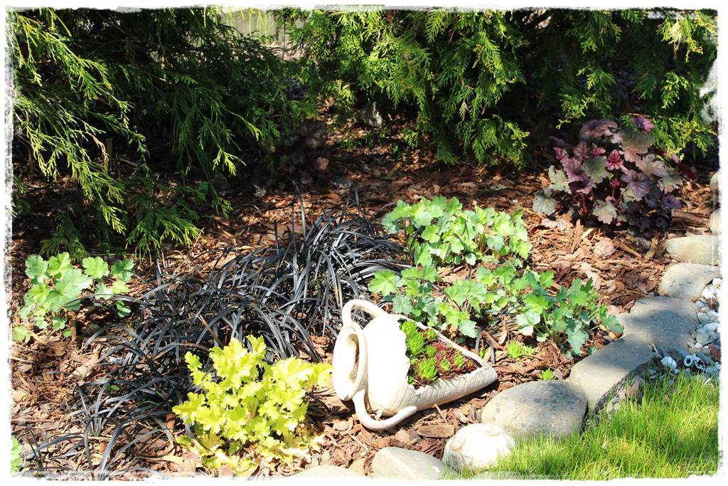 Kora sosnowa aranżacje 90f Kora sosnowa aranżacje 90f