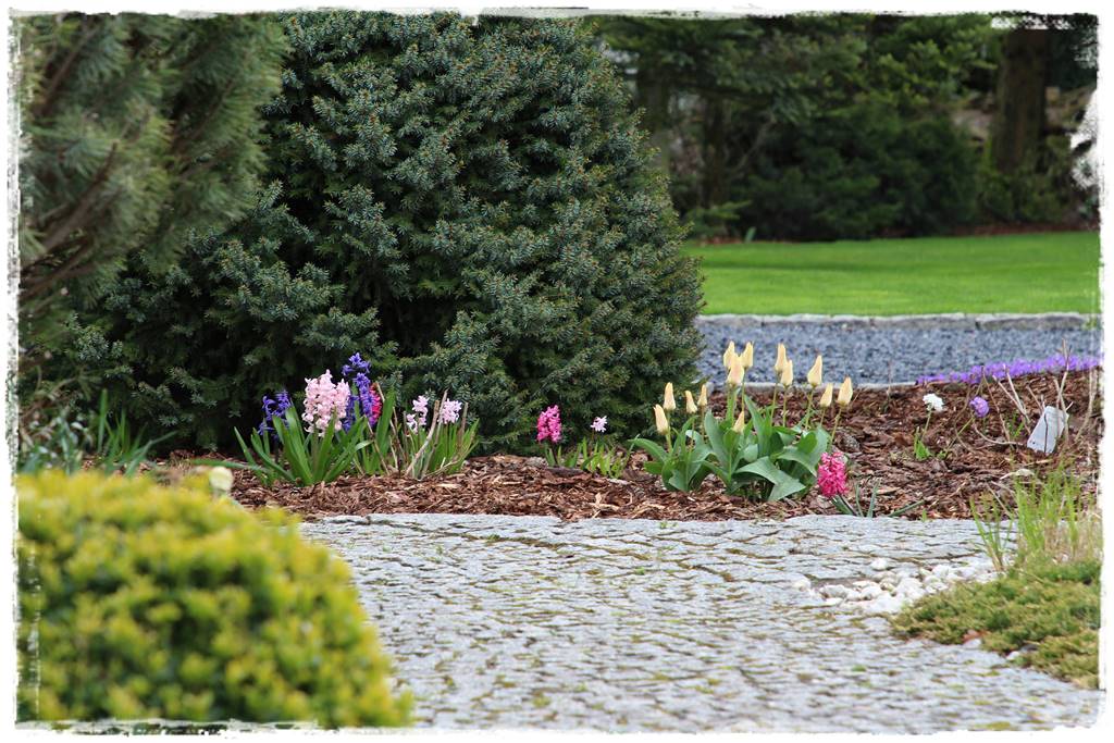 Kora sosnowa aranżacje 90h Kora sosnowa aranżacje 90h