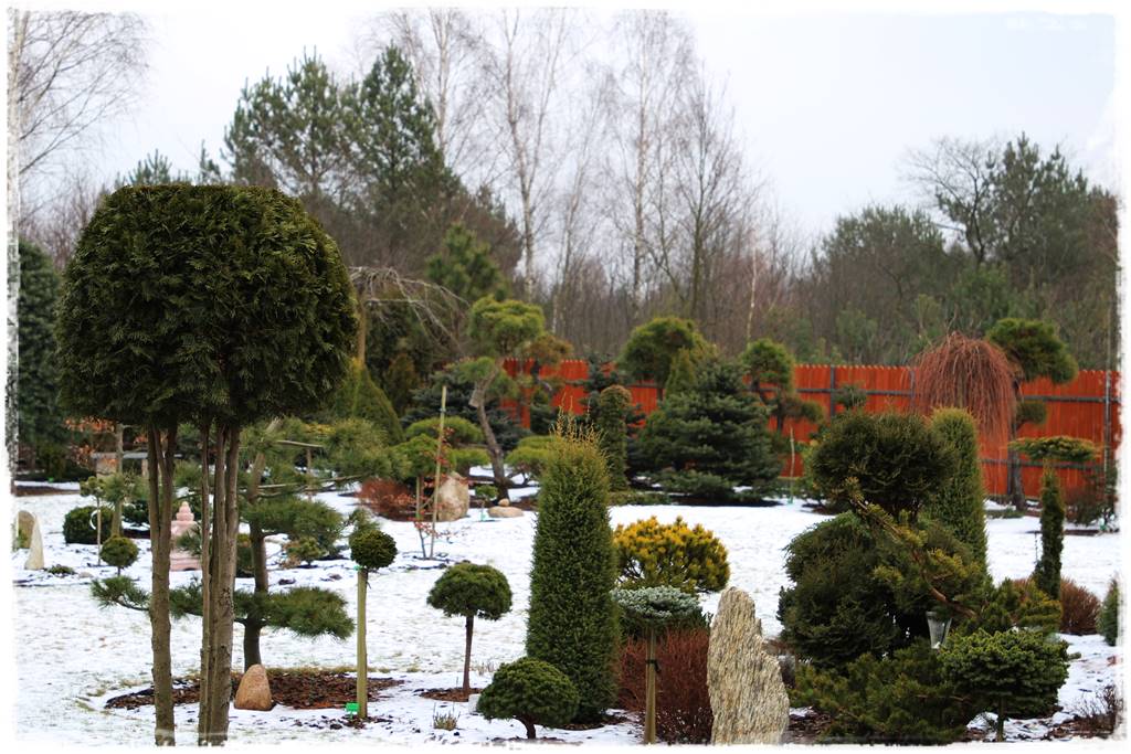 Ogród piękny zimą 10d