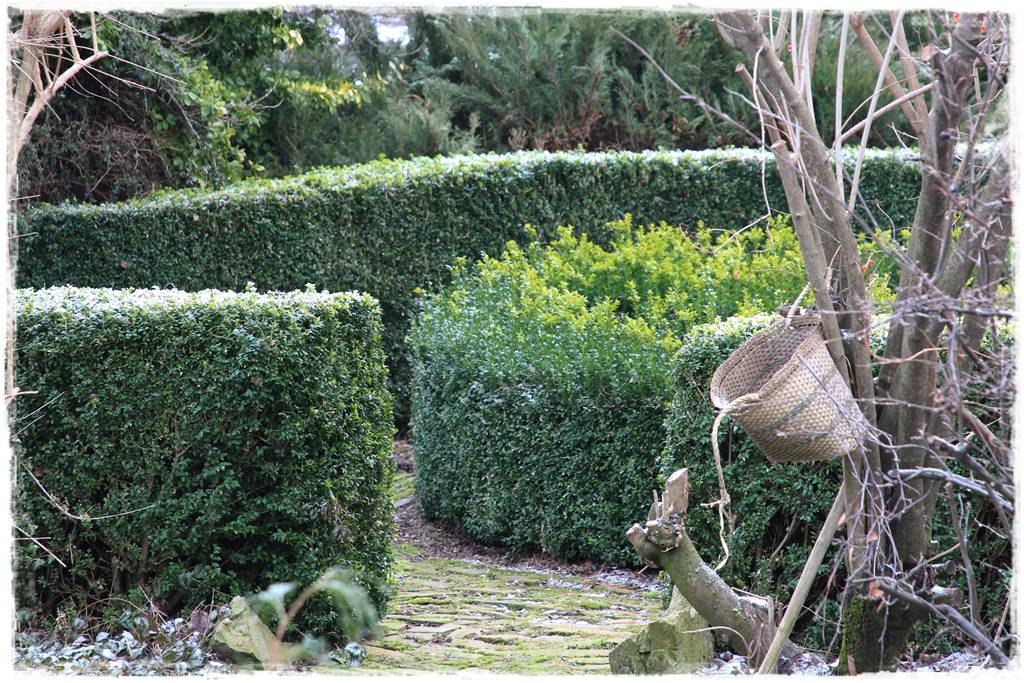 Ogród piękny zimą 11