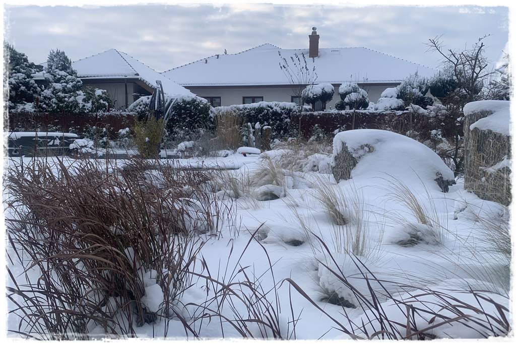 Ogród piękny zimą 20h