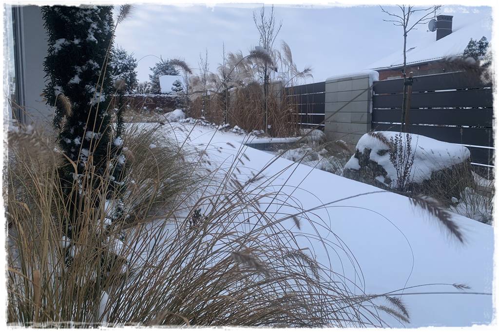 Ogród piękny zimą 20i